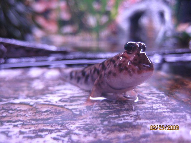 IMG_4467.JPG