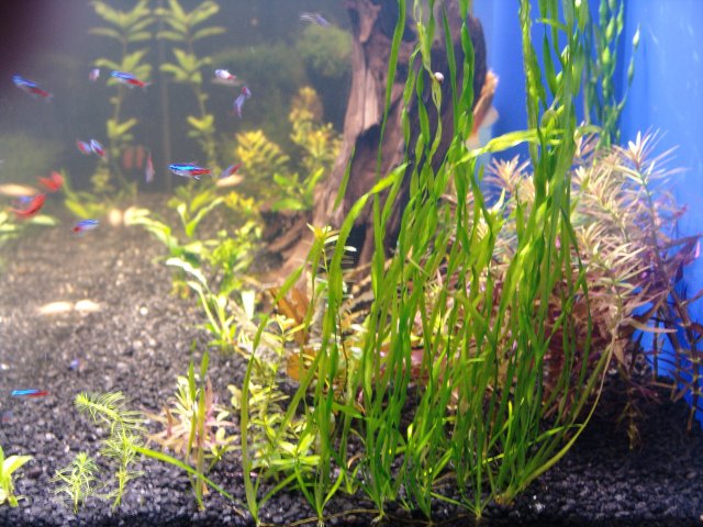 DSC05480.JPG DSC05480.JPG