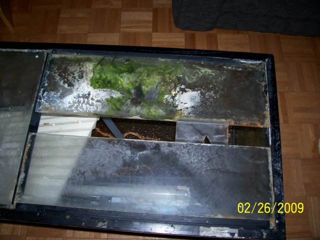 000_2118.jpg