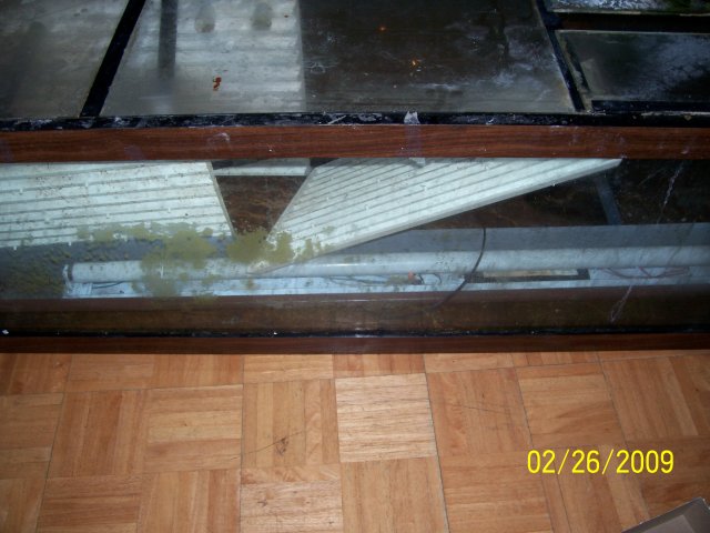 000_2120.jpg