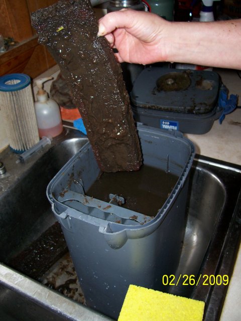 000_2123.jpg