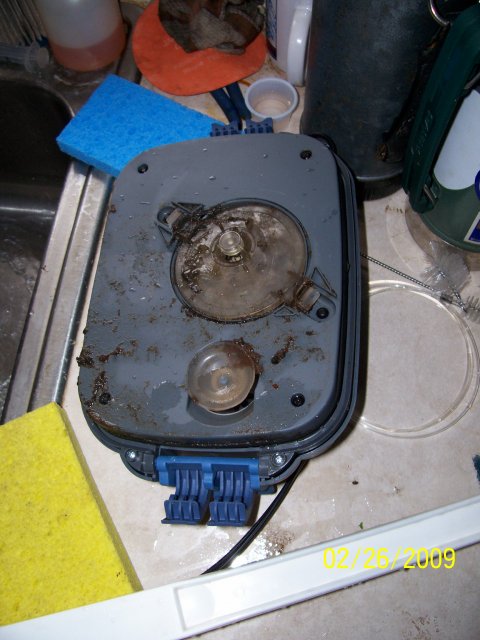 000_2126.jpg