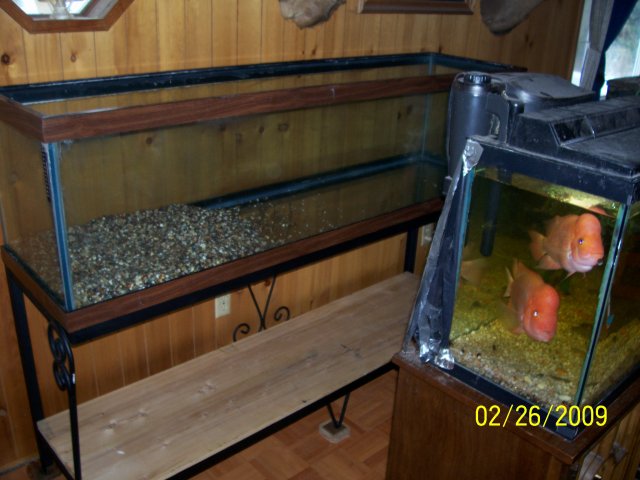 000_2127.jpg
