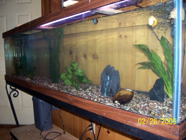 000_2128.jpg