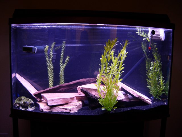 DSCN1005.JPG