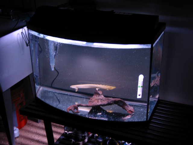101-0153_IMG.JPG