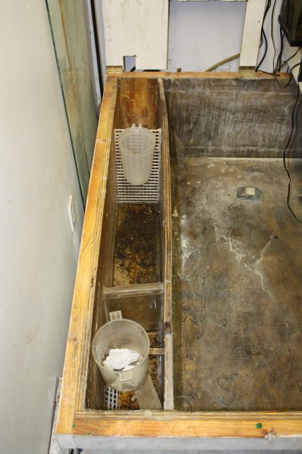 plywood tank 003.JPG
