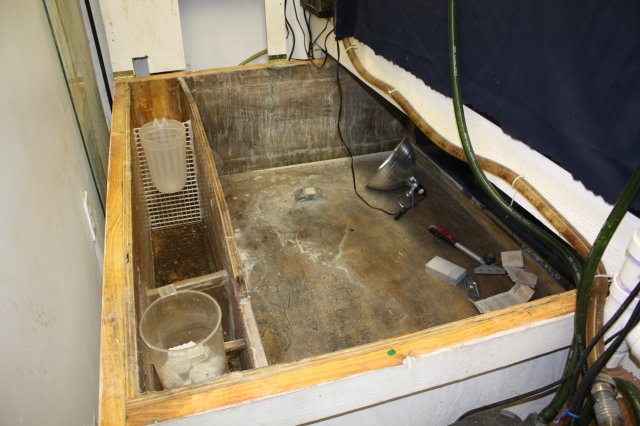 plywood tank 004.JPG