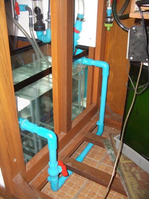 IMGP6321.jpg