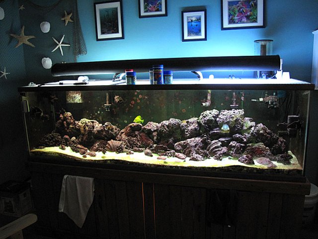 tank_3_09_01.jpg