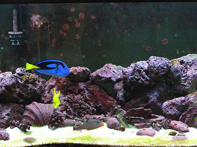 tank_3_09_02.jpg