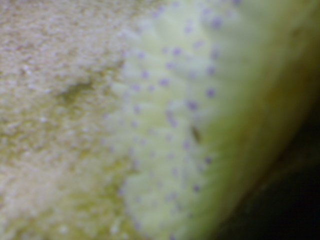 28022009159.jpg 28022009159.jpg