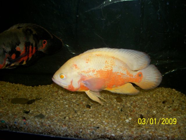 000_2166.jpg