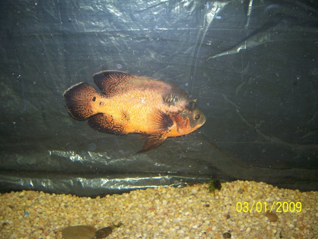 000_2167.jpg