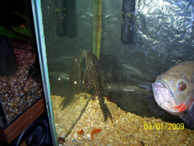000_2170.jpg