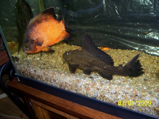 000_2171.jpg