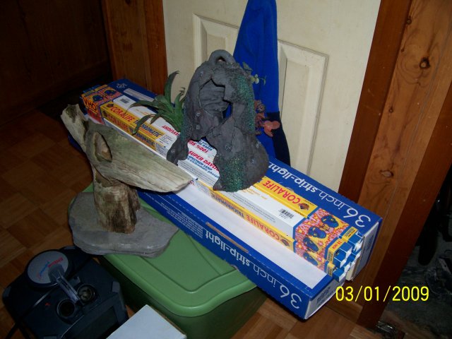 000_2172.jpg