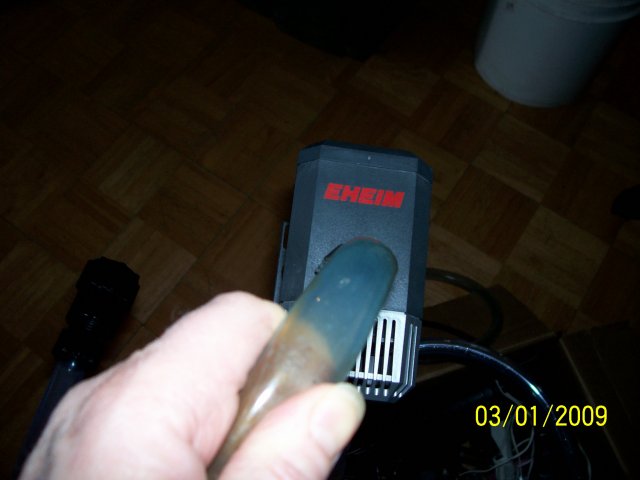 000_2176.jpg
