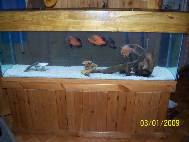 000_2181.jpg