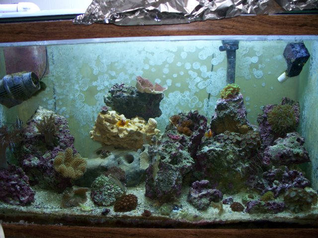 reefmarch109.jpg reefmarch109.jpg