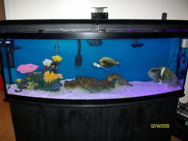 Picture 131.jpg