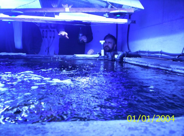 100_1124.JPG