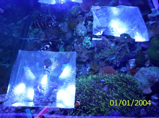 100_1129.JPG