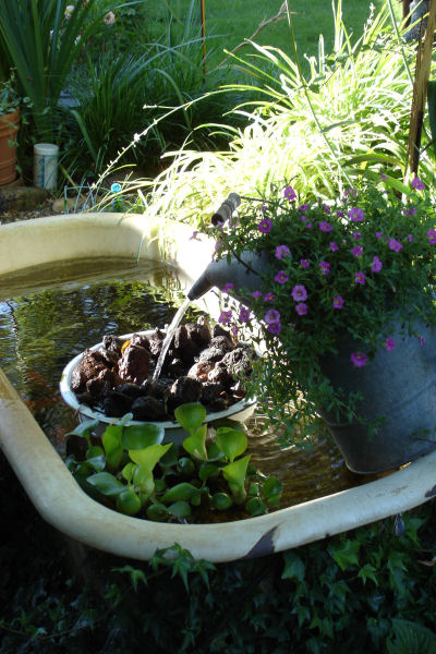 bathtub pond.jpg