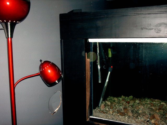 003.JPG