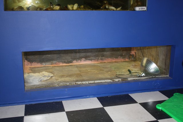 plywood tank 002.JPG