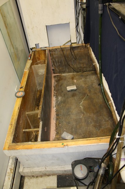 plywood tank 017.JPG