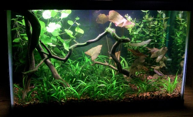100_4719.jpg