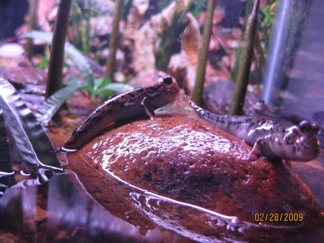 IMG_4749.JPG