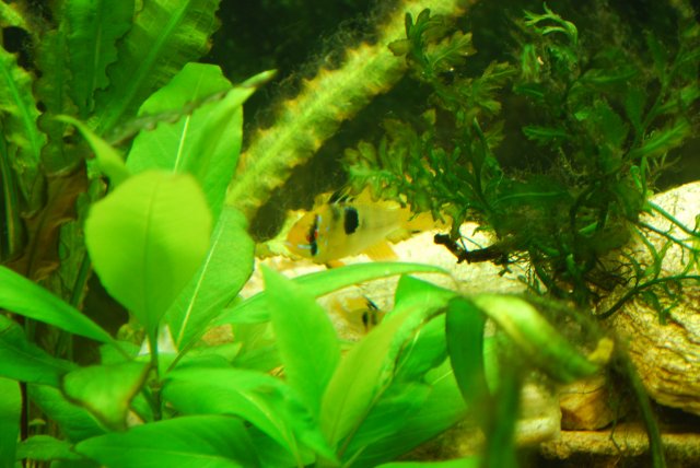 DSC_0481.JPG DSC_0481.JPG