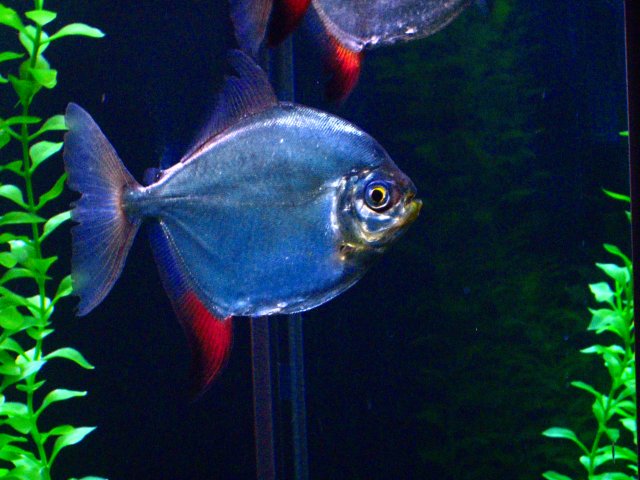 IMG_1282.JPG