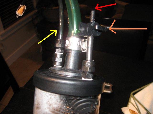 user88508_pic7621_1236521725.jpg
