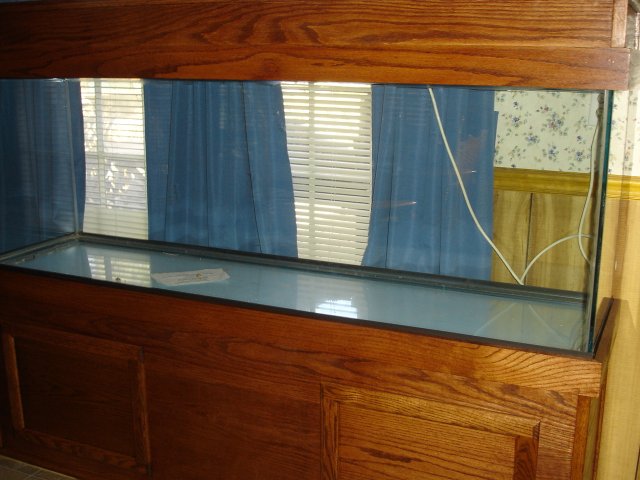 tank stand 032.JPG