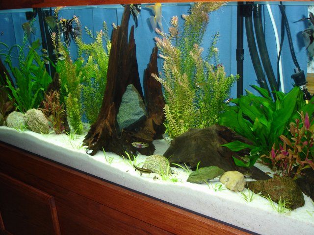 tank stand 014.JPG