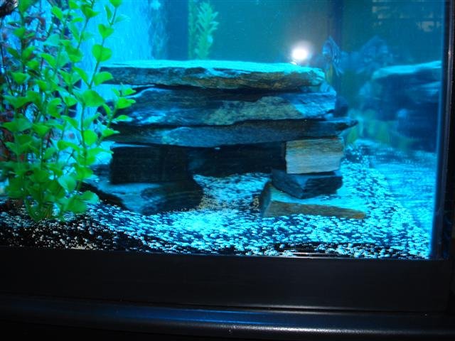 DSC00498 (Small).JPG