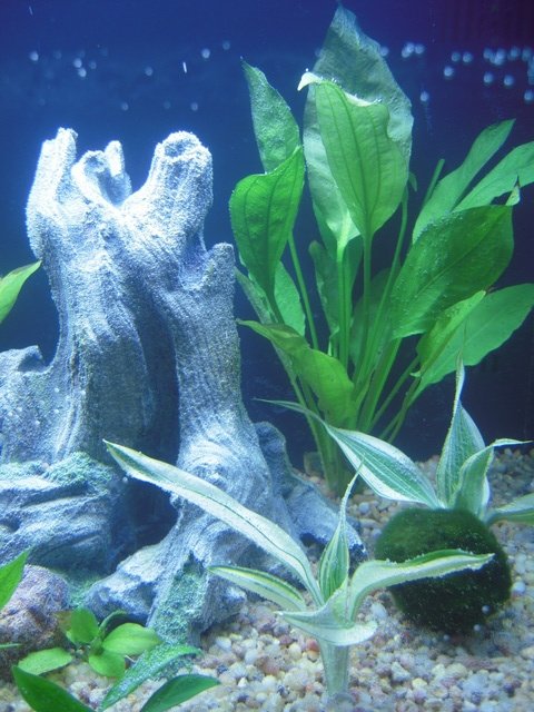 DSCN0232.jpg