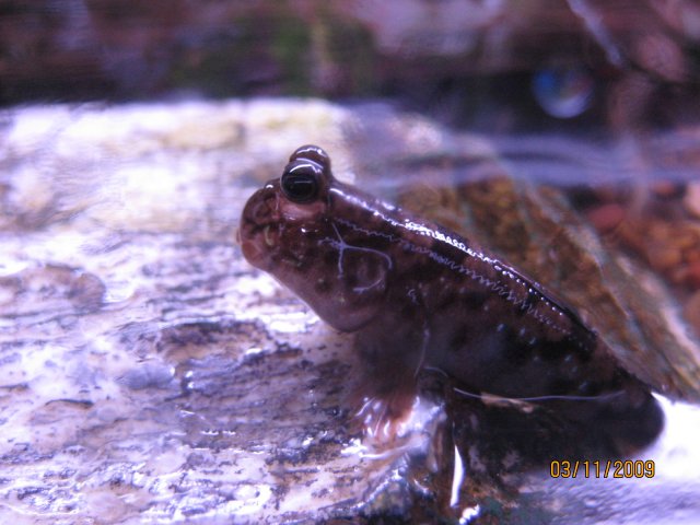 IMG_5683.JPG IMG_5683.JPG