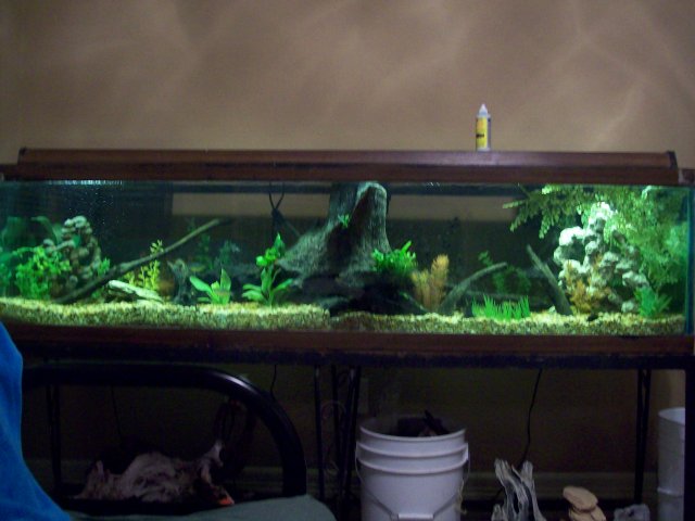100_2575.JPG