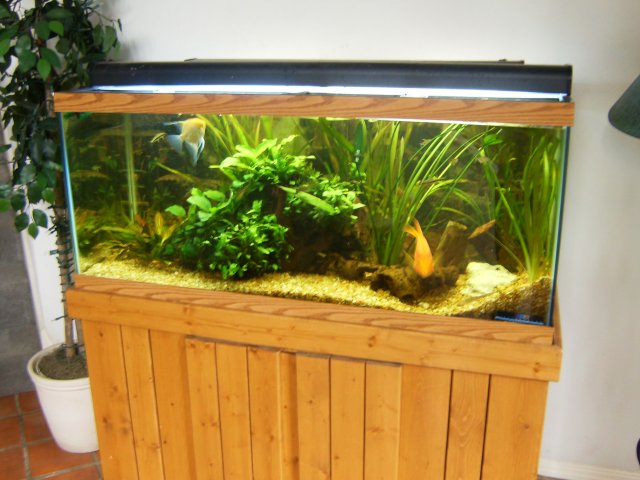 HPIM0563.JPG