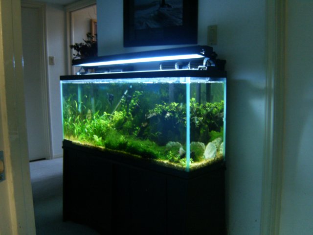 HPIM0499.JPG