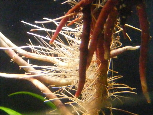 03-12-2009 007.jpg