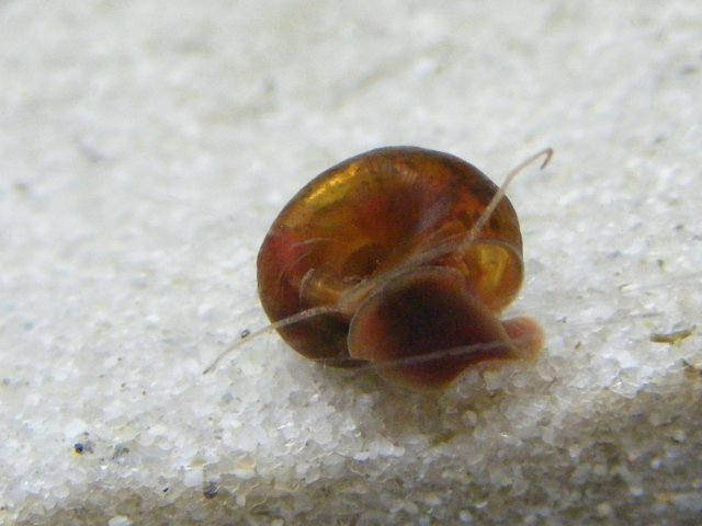 03-12-2009 021.jpg