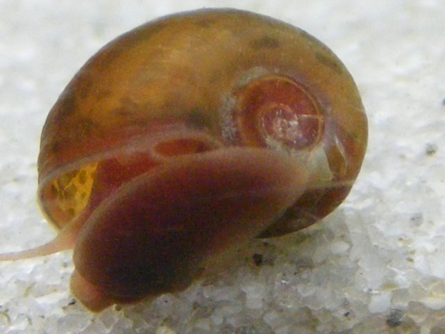 03-12-2009 025.jpg