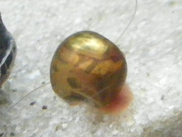 03-12-2009 026.jpg