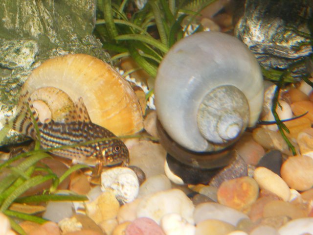 03-12-2009 032.jpg