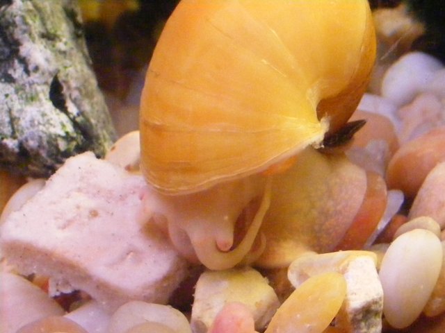 03-12-2009 040.jpg